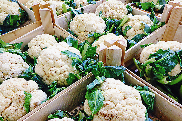 포토 JPG 해외이미지 잡화 음식 백그라운드 농업 채소 사람없음 초록색 쇼핑 세일 상점 수확 흰색 신선 시장 선택 상품 브로콜리 유기농 양배추 날것 소매 슈퍼마켓 숙성 채식주의자 해외포토 웰빙 산업 컬러 컨셉 채식 파일형식 이미지허브