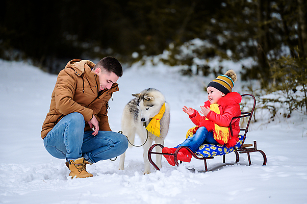 포토 JPG 해외이미지 주간 전신 한마리 여자 남자 반려견 어린이 겨울 함께함 웃음 앉기 성인 야외 두명 옆모습 반려동물 눈 강아지 박수 시베리안허스키 즐거움 썰매 웅크림 부녀 해외포토 자연요소 동물 1 계절 딸 감정 뷰포인트 컨셉 가족 모션 날씨 표정 사람 손짓 아빠 개 파일형식 이미지허브