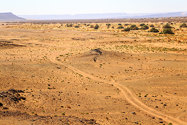 포토 JPG 해외이미지 도로 길 모래 여행 오렌지 아프리카 자동차 자연 산 건조 파노라마 풍경 사람없음 여름 빛 운동 햇빛 태양 노란색 맑음 트래킹 사막 바퀴 뜨거움 인쇄 땅 모래언덕 탈출 심볼 사파리 타이어 먼지 가뭄 모로코 사하라 내추럴 선로 집회 수평선 해외포토 레이스천 자연요소 계절 나라 육상교통 컬러 컨셉 과일 교통시설 레저 날씨 촬영기법 건강 직물 언덕 생태계 파일형식 이미지허브