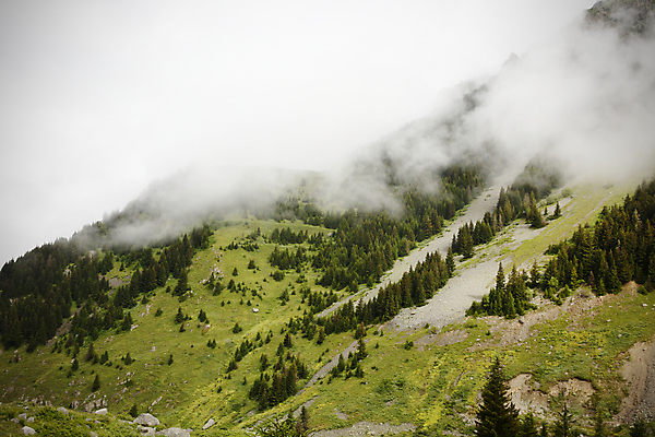 포토 JPG 해외이미지 식물 자연 산 경사 사람없음 초록색 안개 소나무 숲 언덕 암초 내추럴 해외포토 나무 컬러 날씨 생태계 파일형식 이미지허브