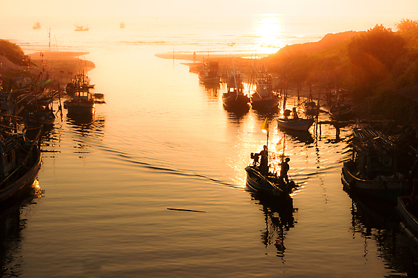 포토 JPG 해외이미지 아시아 모래 바다 태국 하늘 어류 사람없음 물 마을 일출 항구 일몰 보트 코코넛 해외포토 자연요소 나라 배_교통 과일 교통시설 노을 수중동물 파일형식 이미지허브