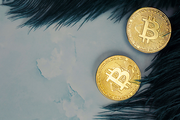 포토 JPG 해외이미지 백그라운드 컨셉 돈 인터넷 비즈니스 기술 사람없음 금융 빛 쇼핑 우주 동전 웹 회색 수확 바위 거친 시장 황금 고급 암호 정상 발굴 깃털 질감 눈금 복고 전자 대리석 토막 땅바닥 콘크리트 가상 카피스페이스 해외포토 컬러 농업 재료 바닥 경제 공백 돌_바위 재산 파일형식 이미지허브