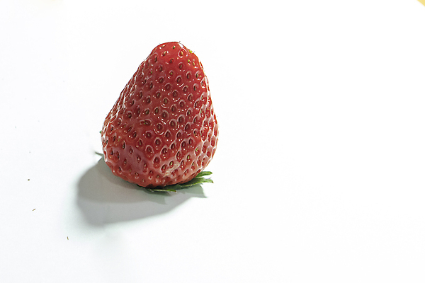 포토 JPG 해외이미지 음식 채소 과일 사람없음 망고 국산 해외포토 열대과일 파일형식 이미지허브