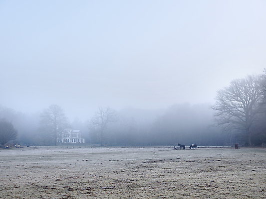 포토 JPG 해외이미지 나무 겨울 밭 자연 하늘 아침 주택 풍경 사람없음 야외 빛 새벽 안개 가을 시골 숲 네덜란드 방목장 뿌연 옛날 해외포토 주간 자연요소 식물 계절 유럽 농업 날씨 건물 생태계 파일형식 이미지허브