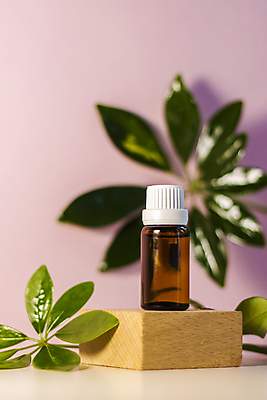 포토 JPG 해외이미지 잎 실내 사람없음 목재 뷰티 오일 피부관리 스킨케어 단상 앰플 목업 브랜딩 분홍색배경 해외포토 나무 식물 음식 분홍색 백그라운드 재료 내부 화장품 파일형식 이미지허브