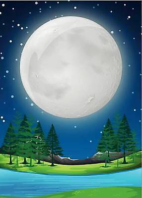 EPS 해외이미지 클립아트 나무 식물 공원 별 호수 백그라운드 일러스트 미술 그래픽 물 빛 강 어둠 달 야간 큼 달빛 가득함 그림 클립 점성술 천문학 슈퍼문 해외일러스트 자연요소 공공시설 교육 문화예술 크기 파일형식 벡터 이미지허브