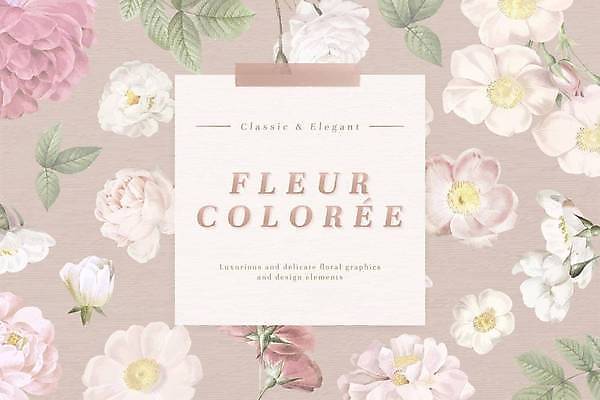 EPS 해외이미지 식물 디자인 꽃 분홍색 결혼 백그라운드 잎 꽃무늬 패턴 일러스트 텍스트 벽지 결혼식 프레임 그래픽 장식 단어 봄 낭만 수확 벚꽃 신용카드 우아함 복고 정사각형 초대 손그림 창백 파스텔톤 스타일 해외일러스트 도형 문자 계절 컬러 컨셉 무늬 농업 이벤트 금융 파일형식 벡터 이미지허브