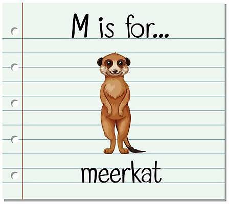 EPS 해외이미지 동물 한마리 알파벳 영어 일러스트 영어교육 사람없음 단어 M 단어카드 미어캣 해외일러스트 문자 1 교육 파일형식 벡터 단어장 이미지허브