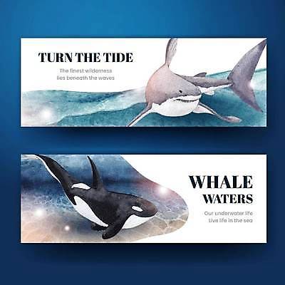 EPS 해외이미지 배너 바다 두마리 일러스트 사람없음 파란색 바닷속 상어 범고래 해외일러스트 컬러 2 어류 수중 고래 파일형식 벡터 이미지허브