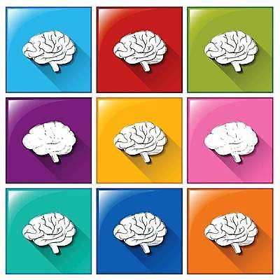 EPS 해외이미지 일러스트 버튼 사람없음 컬러풀 뇌 해외일러스트 컬러 파일형식 벡터 이미지허브