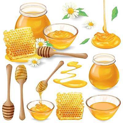 EPS 해외이미지 꽃 잎 일러스트 유리병 사람없음 세트 노란색 붓기 유리그릇 꿀 벌집 꿀단지 엘리먼트 허니디퍼 해외일러스트 식물 그릇 컬러 모션 유리 병_용기 도구 파일형식 벡터 이미지허브