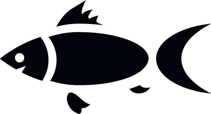 EPS 해외이미지 모양 동물 디자인 야생동물 음식 파도 바다 일러스트 자연 낚시 건강 어류 요리 물 강 머리 식당 검은색 수영 추위 신선 잡기 어부 먹기 심볼 해산물 눈금 날것 심플 지느러미 수족관 어장 고립 동물상 엘리먼트 해외일러스트 자연요소 직업 컬러 모션 레저 신체부위 조형물 상점 수중동물 수상스포츠 생태계 파일형식 벡터 이미지허브