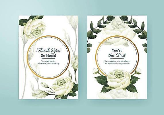 EPS 해외이미지 꽃 잎 일러스트 사람없음 초록색 흰색 분위기 꽃봉오리 감성 해외일러스트 식물 컬러 컨셉 파일형식 벡터 이미지허브