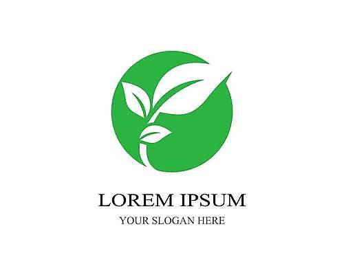 EPS 해외이미지 잎 일러스트 사람없음 연두색 원형 심볼 해외일러스트 도형 식물 초록색 파일형식 벡터 이미지허브