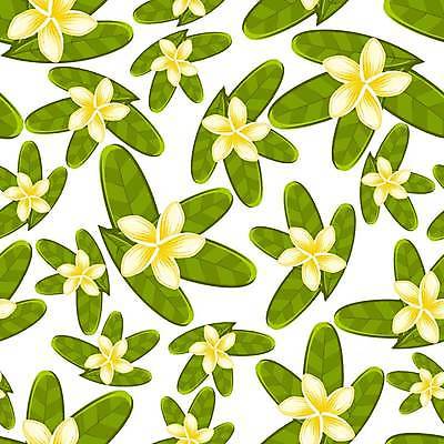 EPS 해외이미지 식물 디자인 꽃 종이 백그라운드 잎 꽃무늬 패턴 일러스트 자연 벽지 추상 미술 그래픽 장식 초록색 여름 노란색 스파 봄 덮개 벚꽃 흰색 나뭇가지 직물 타일 그림 질감 하와이 발리 모자이크 목련 스크랩북 엘리먼트 이국적 하와이인 국경 해외일러스트 외국인 나무 계절 컬러 섬 무늬 문화예술 미국 뚜껑 생태계 인도네시아 파일형식 벡터 이미지허브