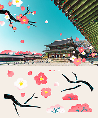 PSD 편집이미지 한국전통 꽃잎 스티커 포토일러 하늘 꽃나무 사람없음 봄 나뭇가지 오브젝트 매화 창덕궁 매화나무 인정전 지붕처마 이미지편집 나무 전통 계절 꽃 지붕 한국 궁전 처마 파일형식