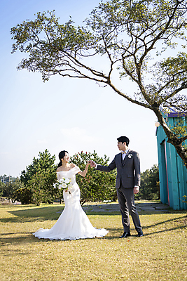 포토 JPG 주간 전신 나무 응시 여자 남자 부케 웨딩드레스 결혼 하늘 사랑 서기 미소 들기 정장 턱시도 20대 성인 야외 두명 앞모습 30대 제주도 마주보기 손잡기 한국인 신랑신부 성인만 웨딩촬영 국내포토 자연요소 식물 시선 드레스 옷 감정 신부_웨딩 뷰포인트 꽃다발 신랑 모션 한국 표정 사람 동양인 이벤트 청년 장년 기념사진 파일형식