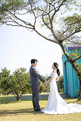 포토 JPG 주간 전신 나무 응시 여자 남자 웨딩드레스 결혼 하늘 사랑 미소 정장 턱시도 20대 성인 야외 두명 옆모습 30대 제주도 마주보기 손잡기 한국인 신랑신부 성인만 웨딩촬영 국내포토 자연요소 식물 시선 드레스 옷 감정 신부_웨딩 뷰포인트 신랑 모션 한국 표정 사람 동양인 이벤트 청년 장년 기념사진 파일형식