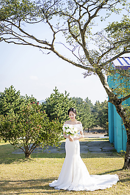 포토 JPG 주간 전신 나무 응시 여자 신부 웨딩드레스 결혼 하늘 한명 서기 미소 들기 20대 성인 야외 앞모습 제주도 한국인 성인여자한명만 웨딩촬영 국내포토 자연요소 식물 1 시선 드레스 뷰포인트 모션 한국 표정 사람 동양인 이벤트 청년 기념사진 여자한명만 성인여자만 파일형식