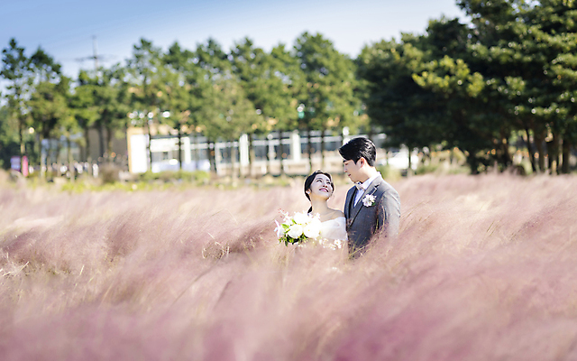 포토 JPG 주간 응시 여자 남자 부케 웨딩드레스 결혼 사랑 미소 정장 턱시도 상반신 20대 성인 야외 두명 앞모습 옆모습 아웃포커스 30대 제주도 마주보기 한국인 신랑신부 성인만 웨딩촬영 핑크뮬리 국내포토 자연요소 식물 시선 드레스 옷 감정 신부_웨딩 뷰포인트 꽃다발 신랑 모션 한국 촬영기법 표정 사람 동양인 이벤트 청년 장년 기념사진 파일형식