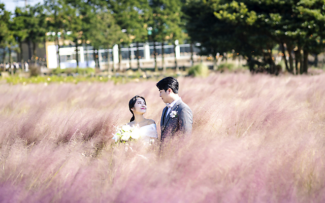 포토 JPG 주간 응시 여자 남자 웨딩드레스 결혼 사랑 미소 들기 정장 턱시도 상반신 20대 성인 야외 두명 앞모습 옆모습 30대 제주도 마주보기 한국인 신랑신부 성인만 웨딩촬영 핑크뮬리 국내포토 자연요소 식물 시선 드레스 옷 감정 신부_웨딩 뷰포인트 신랑 모션 한국 표정 사람 동양인 이벤트 청년 장년 기념사진 파일형식