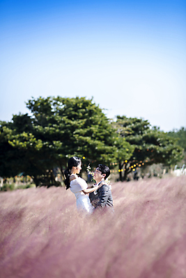 포토 JPG 주간 응시 여자 남자 웨딩드레스 결혼 하늘 사랑 미소 정장 턱시도 상반신 20대 성인 야외 두명 옆모습 30대 제주도 마주보기 한국인 신랑신부 성인만 들어올리기 어깨에손 웨딩촬영 핑크뮬리 국내포토 자연요소 식물 시선 드레스 옷 감정 신부_웨딩 뷰포인트 신랑 모션 한국 표정 사람 동양인 이벤트 청년 장년 기념사진 파일형식