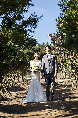 포토 JPG 주간 전신 응시 여자 남자 부케 웨딩드레스 결혼 사랑 서기 미소 들기 정장 턱시도 20대 성인 야외 두명 앞모습 30대 제주도 손잡기 한국인 동백 동백나무 신랑신부 성인만 웨딩촬영 국내포토 자연요소 나무 시선 드레스 옷 꽃 감정 신부_웨딩 뷰포인트 꽃다발 신랑 모션 한국 표정 사람 동양인 이벤트 청년 장년 기념사진 파일형식