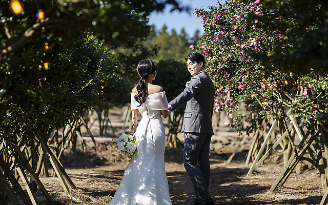 포토 JPG 주간 전신 응시 여자 남자 부케 웨딩드레스 결혼 사랑 서기 미소 정장 턱시도 20대 성인 야외 두명 옆모습 뒷모습 30대 제주도 손잡기 한국인 뒤돌아보기 동백 손뻗기 동백나무 신랑신부 성인만 웨딩촬영 국내포토 자연요소 나무 시선 드레스 옷 꽃 감정 신부_웨딩 뷰포인트 꽃다발 신랑 모션 한국 표정 사람 동양인 이벤트 청년 장년 기념사진 파일형식
