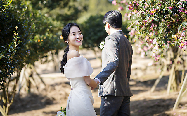 포토 JPG 주간 여자 남자 웨딩드레스 결혼 사랑 미소 정장 턱시도 상반신 20대 성인 야외 두명 옆모습 뒷모습 30대 제주도 손잡기 한국인 뒤돌아보기 동백 동백나무 신랑신부 성인만 웨딩촬영 국내포토 자연요소 나무 드레스 옷 꽃 감정 신부_웨딩 뷰포인트 신랑 모션 한국 표정 사람 동양인 이벤트 청년 장년 기념사진 파일형식