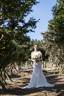 포토 JPG 주간 전신 응시 여자 신부 부케 웨딩드레스 결혼 한명 서기 미소 들기 20대 성인 야외 앞모습 제주도 한국인 동백 동백나무 성인여자한명만 웨딩촬영 국내포토 자연요소 나무 1 시선 드레스 꽃 뷰포인트 꽃다발 모션 한국 표정 사람 동양인 이벤트 청년 기념사진 여자한명만 성인여자만 파일형식