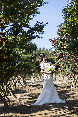 포토 JPG 주간 전신 응시 여자 신부 부케 웨딩드레스 결혼 한명 서기 미소 들기 20대 성인 야외 앞모습 옆모습 제주도 만지기 한국인 동백 동백나무 성인여자한명만 웨딩촬영 국내포토 자연요소 나무 1 시선 드레스 꽃 뷰포인트 꽃다발 모션 한국 표정 사람 동양인 이벤트 청년 기념사진 여자한명만 성인여자만 파일형식