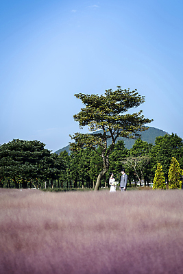 포토 JPG 주간 나무 여자 남자 웨딩드레스 결혼 하늘 사랑 들기 정장 턱시도 상반신 20대 성인 야외 두명 옆모습 30대 제주도 마주보기 한국인 신랑신부 성인만 웨딩촬영 핑크뮬리 국내포토 자연요소 식물 드레스 옷 감정 신부_웨딩 뷰포인트 신랑 모션 한국 사람 동양인 이벤트 청년 장년 기념사진 파일형식