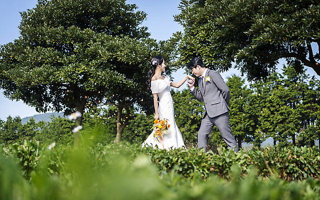 포토 JPG 주간 여자 남자 부케 웨딩드레스 결혼 키스 사랑 들기 정장 턱시도 상반신 20대 성인 야외 두명 옆모습 30대 제주도 마주보기 손잡기 한국인 소프트포커스 뒷짐 신랑신부 성인만 웨딩촬영 국내포토 자연요소 드레스 옷 감정 신부_웨딩 뷰포인트 꽃다발 신랑 모션 한국 촬영기법 사람 동양인 이벤트 청년 장년 애정표현 기념사진 파일형식