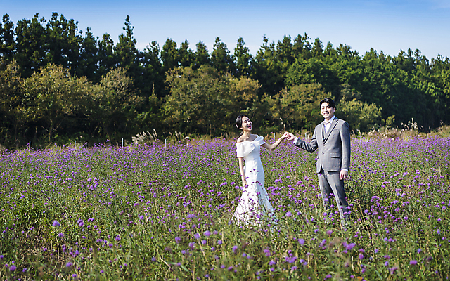 포토 JPG 주간 응시 여자 남자 웨딩드레스 결혼 꽃밭 사랑 서기 웃음 정장 턱시도 상반신 20대 성인 야외 두명 앞모습 옆모습 30대 제주도 손잡기 한국인 신랑신부 성인만 웨딩촬영 국내포토 자연요소 시선 드레스 옷 꽃 감정 신부_웨딩 뷰포인트 신랑 모션 한국 표정 사람 동양인 이벤트 청년 장년 기념사진 파일형식