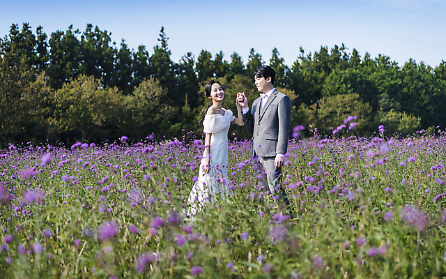 포토 JPG 주간 응시 여자 남자 웨딩드레스 결혼 꽃밭 사랑 미소 정장 턱시도 상반신 20대 성인 야외 두명 옆모습 30대 제주도 손잡기 한국인 신랑신부 성인만 웨딩촬영 국내포토 자연요소 시선 드레스 옷 꽃 감정 신부_웨딩 뷰포인트 신랑 모션 한국 표정 사람 동양인 이벤트 청년 장년 기념사진 파일형식