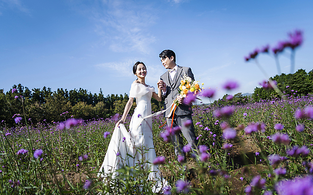 포토 JPG 주간 전신 응시 여자 남자 부케 웨딩드레스 결혼 꽃밭 하늘 사랑 서기 미소 들기 정장 턱시도 20대 성인 야외 두명 앞모습 옆모습 30대 제주도 손잡기 한국인 잡기 신랑신부 성인만 웨딩촬영 국내포토 자연요소 시선 드레스 옷 꽃 감정 신부_웨딩 뷰포인트 꽃다발 신랑 모션 한국 표정 사람 동양인 이벤트 청년 장년 기념사진 파일형식