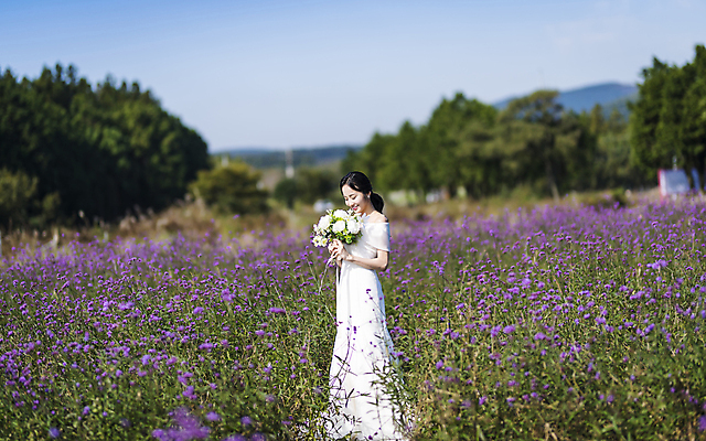 포토 JPG 주간 전신 응시 여자 신부 부케 웨딩드레스 결혼 꽃밭 하늘 한명 서기 미소 들기 20대 성인 야외 옆모습 제주도 한국인 성인여자한명만 웨딩촬영 국내포토 자연요소 1 시선 드레스 꽃 뷰포인트 꽃다발 모션 한국 표정 사람 동양인 이벤트 청년 기념사진 여자한명만 성인여자만 파일형식