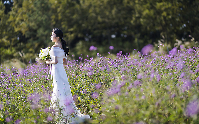 포토 JPG 주간 전신 응시 여자 신부 부케 웨딩드레스 결혼 꽃밭 한명 서기 미소 들기 20대 성인 야외 뒷모습 제주도 한국인 소프트포커스 성인여자한명만 웨딩촬영 국내포토 자연요소 1 시선 드레스 꽃 뷰포인트 꽃다발 모션 한국 촬영기법 표정 사람 동양인 이벤트 청년 기념사진 여자한명만 성인여자만 파일형식