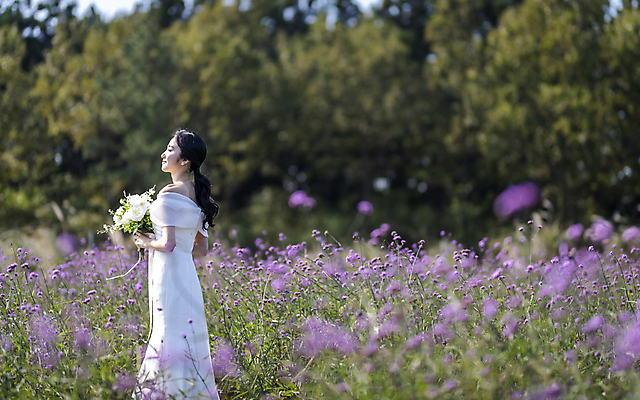포토 JPG 주간 여자 신부 부케 웨딩드레스 결혼 꽃밭 한명 서기 미소 들기 상반신 20대 성인 야외 옆모습 뒷모습 아웃포커스 제주도 한국인 소프트포커스 성인여자한명만 웨딩촬영 국내포토 자연요소 1 드레스 꽃 뷰포인트 꽃다발 모션 한국 촬영기법 표정 사람 동양인 이벤트 청년 기념사진 여자한명만 성인여자만 파일형식