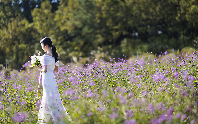 포토 JPG 주간 여자 신부 부케 웨딩드레스 결혼 꽃밭 한명 서기 들기 상반신 20대 성인 야외 뒷모습 아웃포커스 제주도 한국인 소프트포커스 성인여자한명만 웨딩촬영 국내포토 자연요소 1 드레스 꽃 뷰포인트 꽃다발 모션 한국 촬영기법 사람 동양인 이벤트 청년 기념사진 여자한명만 성인여자만 파일형식