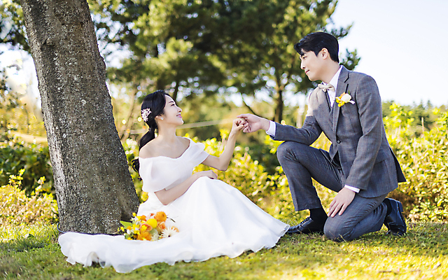 포토 JPG 주간 전신 나무 응시 여자 남자 부케 웨딩드레스 결혼 사랑 미소 앉기 정장 턱시도 20대 성인 야외 두명 옆모습 30대 제주도 마주보기 손잡기 한국인 무릎꿇기 신랑신부 성인만 웨딩촬영 국내포토 자연요소 식물 시선 드레스 옷 감정 신부_웨딩 뷰포인트 꽃다발 신랑 모션 한국 표정 사람 동양인 이벤트 청년 장년 기념사진 파일형식