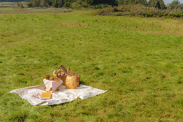 포토 JPG 주간 꽃 커피 휴가 휴식 샌드위치 풍경 초원 사람없음 야외 책 제주도 종이봉투 소풍 돗자리 감성 피크닉용품 조화 소풍바구니 국내포토 자연요소 식물 음료 음식 컨셉 봉투 한국 야외활동 바구니 파일형식