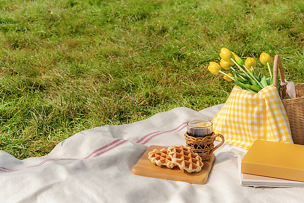 포토 JPG 주간 커피 휴가 휴식 잔 풍경 초원 사람없음 야외 책 제주도 소풍 튤립 돗자리 감성 피크닉용품 조화 와플 나무도마 소풍바구니 컵홀더 국내포토 자연요소 식기 꽃 음료 컨셉 디저트 도마 한국 목재 야외활동 바구니 홀더 파일형식