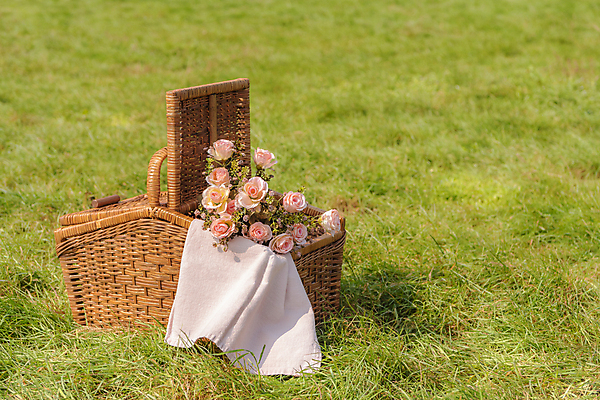 포토 JPG 주간 꽃 휴가 휴식 풍경 초원 사람없음 야외 제주도 소풍 천 꽃바구니 감성 피크닉용품 조화 소풍바구니 국내포토 자연요소 식물 컨셉 한국 야외활동 바구니 직물 파일형식