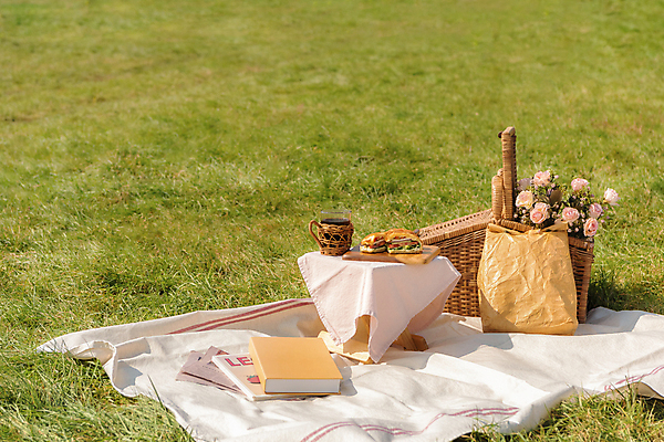 포토 JPG 주간 꽃 커피 휴가 휴식 봉투 잔 샌드위치 풍경 초원 사람없음 야외 책 제주도 소풍 천 돗자리 감성 피크닉용품 조화 나무도마 소풍바구니 컵홀더 국내포토 자연요소 식물 식기 음료 음식 컨셉 도마 한국 목재 야외활동 바구니 직물 홀더 파일형식