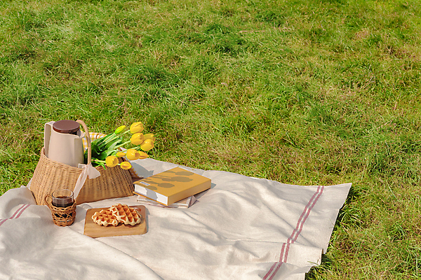 포토 JPG 주간 커피 휴가 휴식 잔 풍경 초원 사람없음 야외 책 제주도 소풍 튤립 커피포트 돗자리 감성 피크닉용품 조화 와플 나무도마 소풍바구니 컵홀더 국내포토 자연요소 식기 꽃 음료 컨셉 주전자 디저트 도마 한국 목재 야외활동 바구니 홀더 파일형식