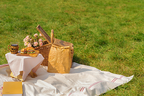 포토 JPG 주간 꽃 커피 휴가 휴식 잔 샌드위치 풍경 초원 사람없음 야외 책 제주도 종이봉투 소풍 천 돗자리 감성 피크닉용품 조화 나무도마 소풍바구니 컵홀더 국내포토 자연요소 식물 식기 음료 음식 컨셉 봉투 도마 한국 목재 야외활동 바구니 직물 홀더 파일형식