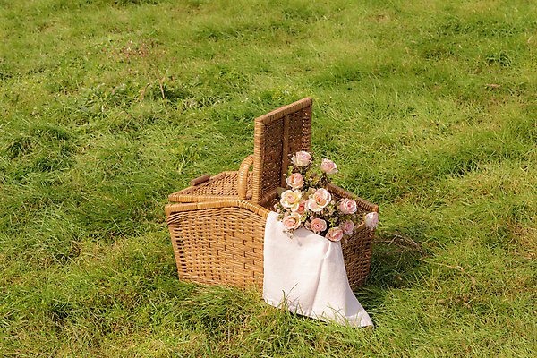 포토 JPG 주간 꽃 휴가 휴식 풍경 초원 사람없음 야외 제주도 소풍 천 꽃바구니 감성 피크닉용품 조화 소풍바구니 국내포토 자연요소 식물 컨셉 한국 야외활동 바구니 직물 파일형식