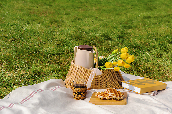 포토 JPG 주간 커피 휴가 휴식 잔 풍경 초원 사람없음 야외 책 제주도 소풍 튤립 커피포트 돗자리 감성 피크닉용품 조화 와플 나무도마 소풍바구니 컵홀더 국내포토 자연요소 식기 꽃 음료 컨셉 주전자 디저트 도마 한국 목재 야외활동 바구니 홀더 파일형식