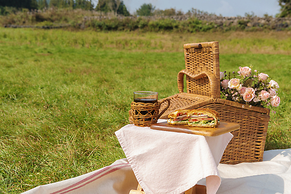 포토 JPG 주간 꽃 커피 휴가 휴식 잔 샌드위치 풍경 초원 사람없음 야외 제주도 소풍 천 돗자리 감성 피크닉용품 조화 나무도마 소풍바구니 컵홀더 국내포토 자연요소 식물 식기 음료 음식 컨셉 도마 한국 목재 야외활동 바구니 직물 홀더 파일형식